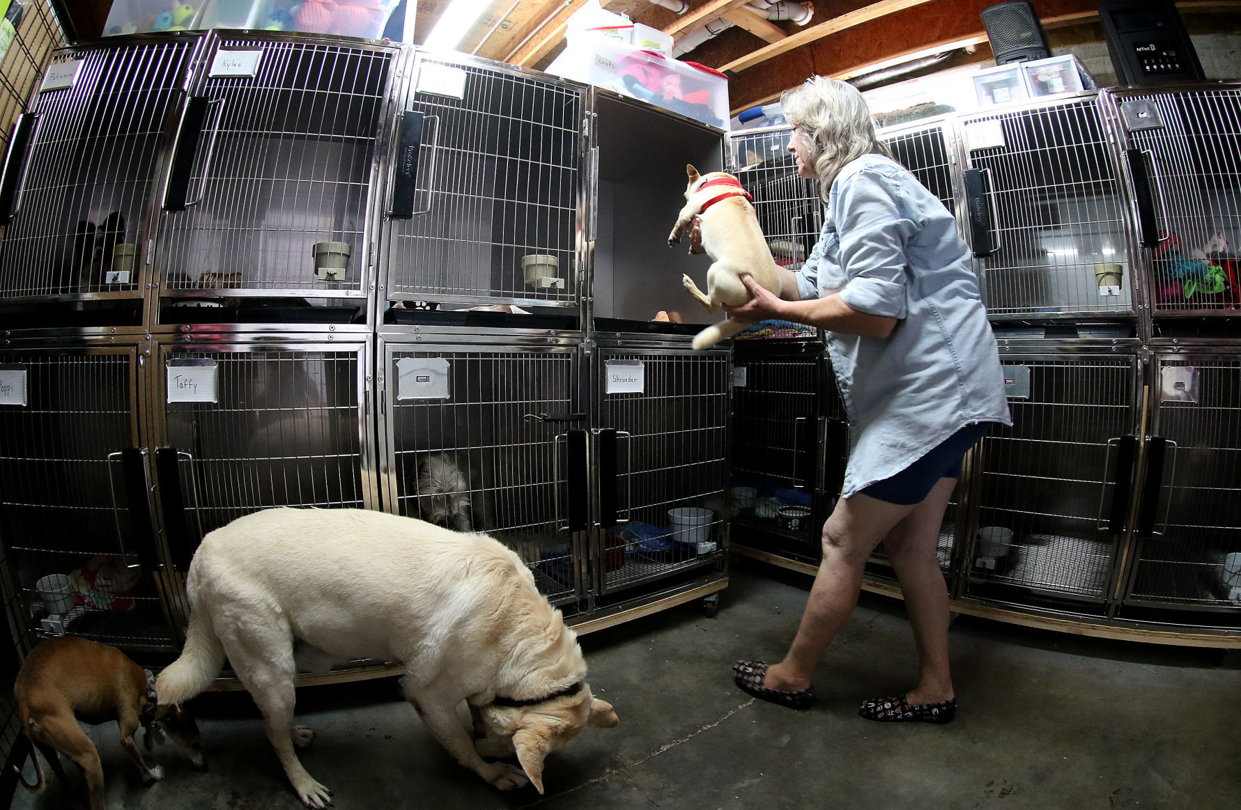 060518-qct-animal-sanctuary-003